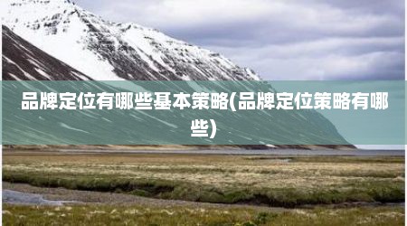 品牌定位有哪些基本策略(品牌定位策略有哪些)