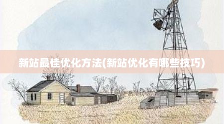 新站最佳优化方法(新站优化有哪些技巧)