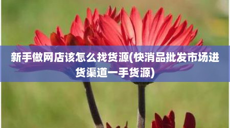 新手做网店该怎么找货源(快消品批发市场进货渠道一手货源)