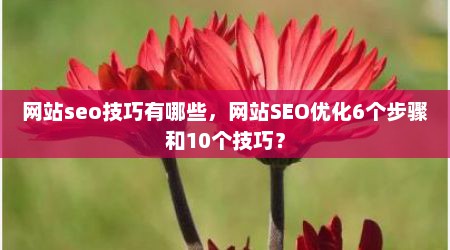 网站seo技巧有哪些，网站SEO优化6个步骤和10个技巧？