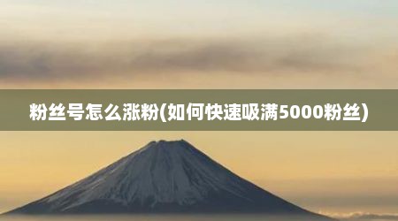 粉丝号怎么涨粉(如何快速吸满5000粉丝)
