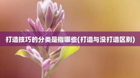 打造技巧的分类是指哪些(打造与没打造区别)