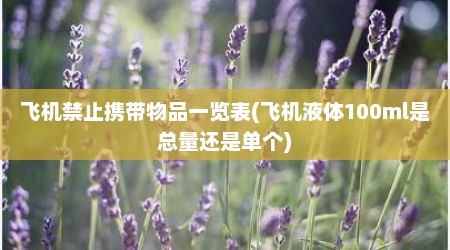 飞机禁止携带物品一览表(飞机液体100ml是总量还是单个)