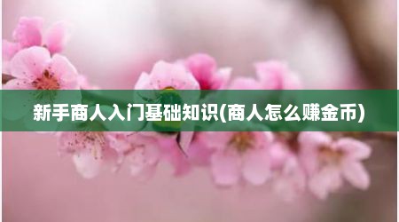 新手商人入门基础知识(商人怎么赚金币)