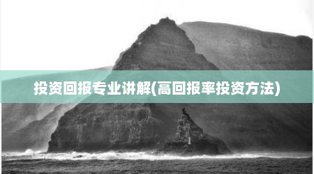 投资回报专业讲解(高回报率投资方法)