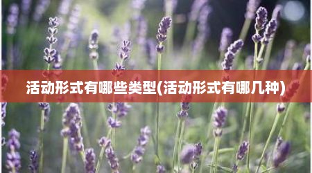 活动形式有哪些类型(活动形式有哪几种)