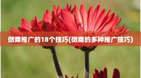 微商推广的18个技巧(微商的多种推广技巧)