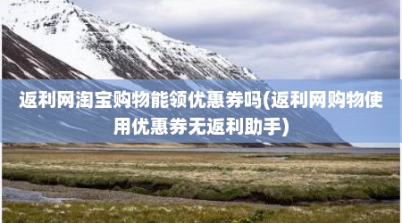 返利网淘宝购物能领优惠券吗(返利网购物使用优惠券无返利助手)