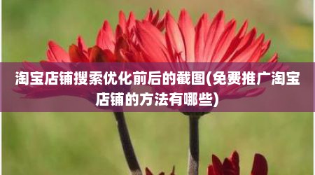 淘宝店铺搜索优化前后的截图(免费推广淘宝店铺的方法有哪些)