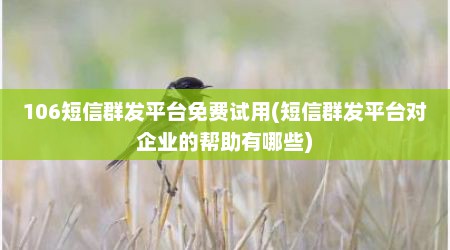 106短信群发平台免费试用(短信群发平台对企业的帮助有哪些)
