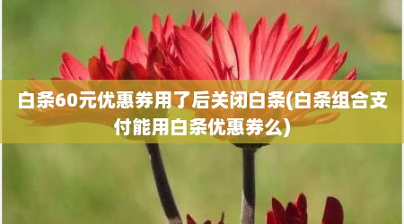白条60元优惠券用了后关闭白条(白条组合支付能用白条优惠券么)