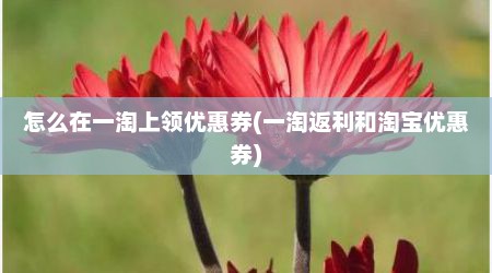 怎么在一淘上领优惠券(一淘返利和淘宝优惠券)