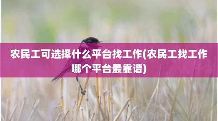 农民工可选择什么平台找工作(农民工找工作哪个平台最靠谱)