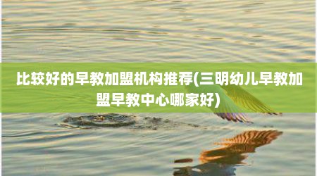 比较好的早教加盟机构推荐(三明幼儿早教加盟早教中心哪家好)