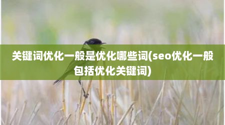 关键词优化一般是优化哪些词(seo优化一般包括优化关键词)