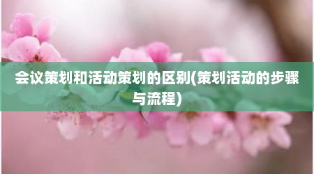 会议策划和活动策划的区别(策划活动的步骤与流程)