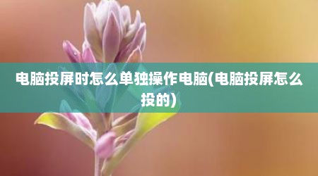 电脑投屏时怎么单独操作电脑(电脑投屏怎么投的)