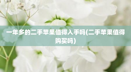 一年多的二手苹果值得入手吗(二手苹果值得购买吗)