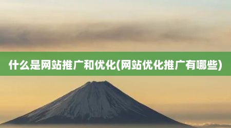 什么是网站推广和优化(网站优化推广有哪些)