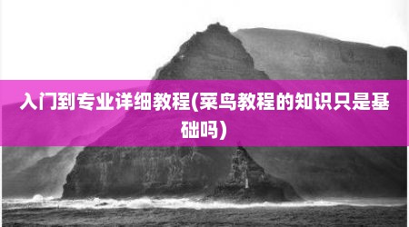 入门到专业详细教程(菜鸟教程的知识只是基础吗)