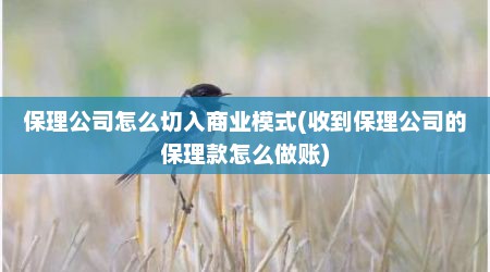保理公司怎么切入商业模式(收到保理公司的保理款怎么做账)