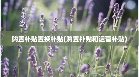 购置补贴置换补贴(购置补贴和运营补贴)