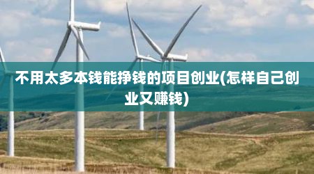 不用太多本钱能挣钱的项目创业(怎样自己创业又赚钱)