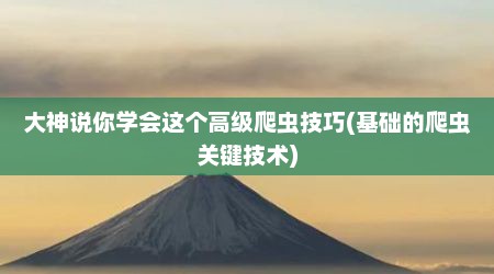 大神说你学会这个高级爬虫技巧(基础的爬虫关键技术)