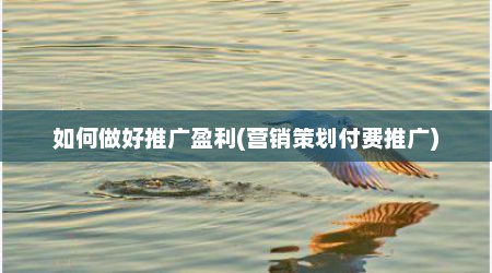 如何做好推广盈利(营销策划付费推广)