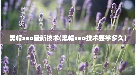 黑帽seo最新技术(黑帽seo技术要学多久)