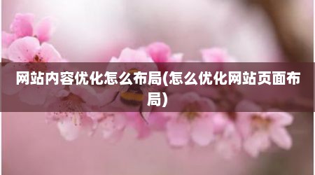 网站内容优化怎么布局(怎么优化网站页面布局)