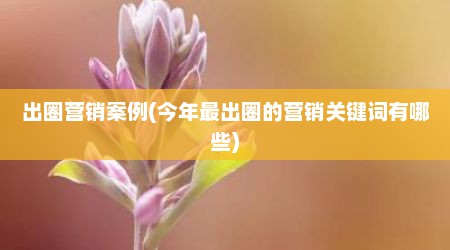 出圈营销案例(今年最出圈的营销关键词有哪些)