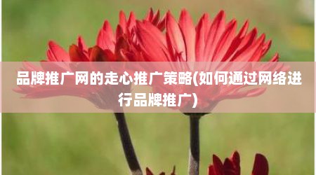 品牌推广网的走心推广策略(如何通过网络进行品牌推广)
