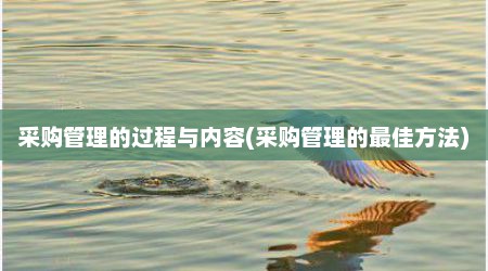 采购管理的过程与内容(采购管理的最佳方法)