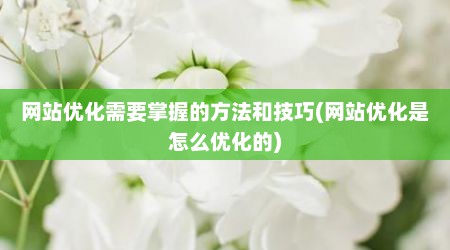 网站优化需要掌握的方法和技巧(网站优化是怎么优化的)