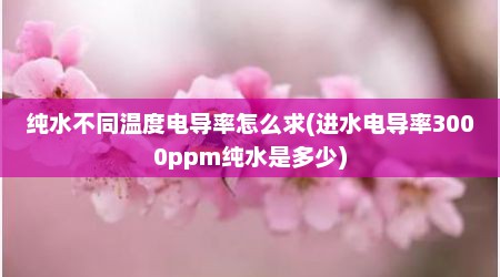 纯水不同温度电导率怎么求(进水电导率3000ppm纯水是多少)