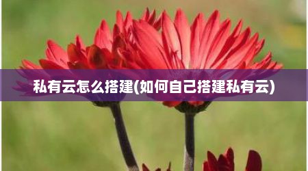 私有云怎么搭建(如何自己搭建私有云)