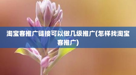 淘宝客推广链接可以做几级推广(怎样找淘宝客推广)