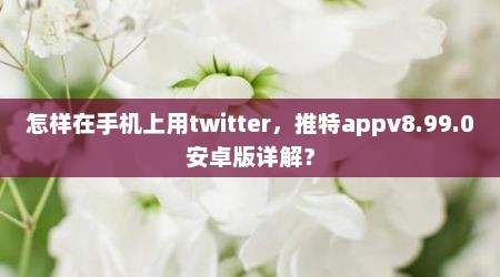 怎样在手机上用twitter，推特appv8.99.0安卓版详解？