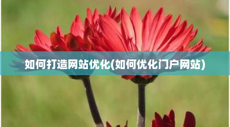如何打造网站优化(如何优化门户网站)
