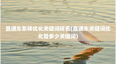 直通车怎样优化关键词排名(直通车关键词优化留多少关键词)