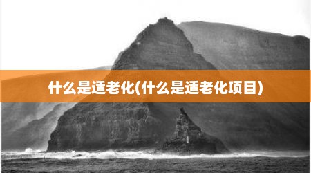 什么是适老化(什么是适老化项目)