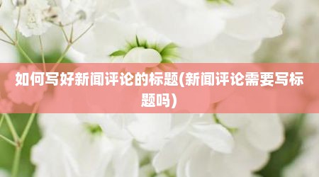 如何写好新闻评论的标题(新闻评论需要写标题吗)