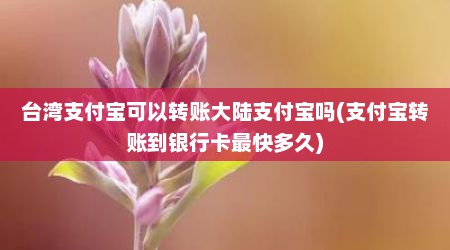 台湾支付宝可以转账大陆支付宝吗(支付宝转账到银行卡最快多久)