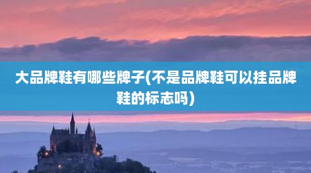 大品牌鞋有哪些牌子(不是品牌鞋可以挂品牌鞋的标志吗)