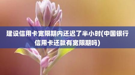建设信用卡宽限期内还迟了半小时(中国银行信用卡还款有宽限期吗)