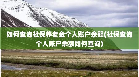 如何查询社保养老金个人账户余额(社保查询个人账户余额如何查询)