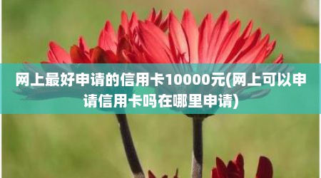 网上最好申请的信用卡10000元(网上可以申请信用卡吗在哪里申请)