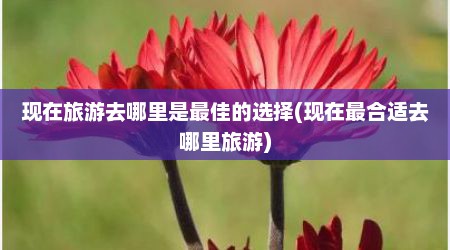 现在旅游去哪里是最佳的选择(现在最合适去哪里旅游)
