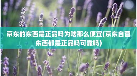 京东的东西是正品吗为啥那么便宜(京东自营东西都是正品吗可靠吗)